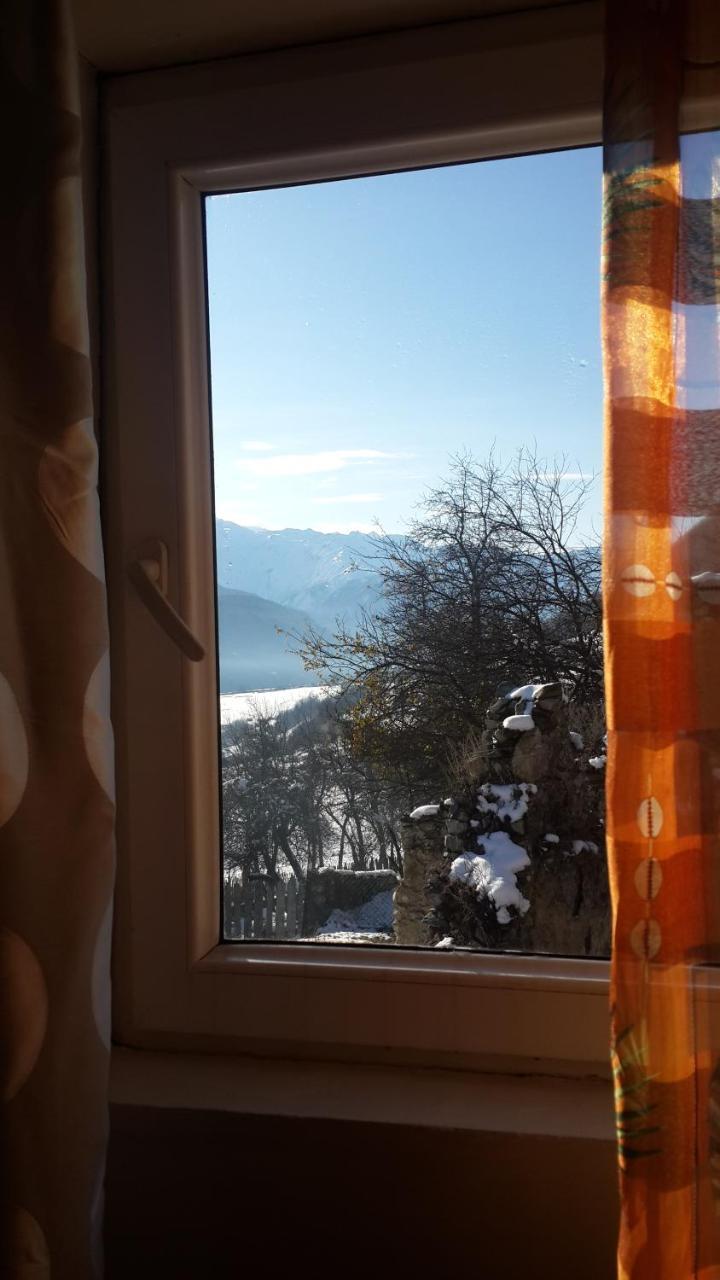 Irina Lextagi Otel Mestia Dış mekan fotoğraf