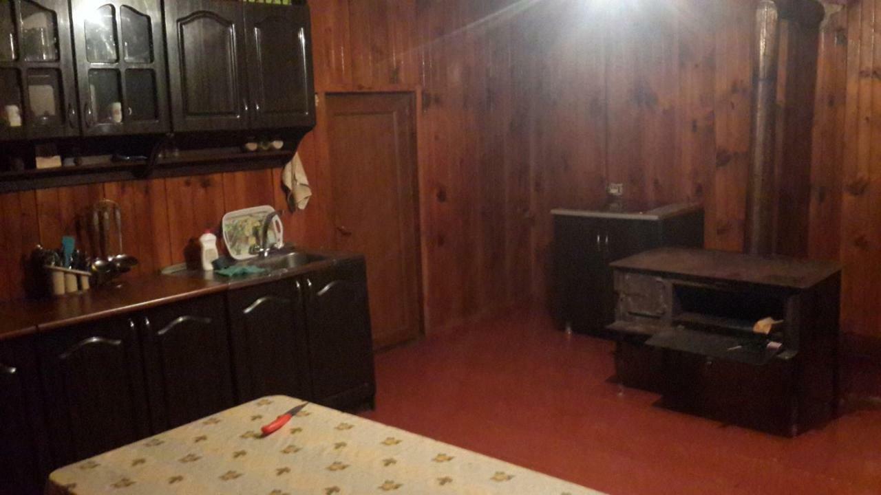 Irina Lextagi Otel Mestia Dış mekan fotoğraf